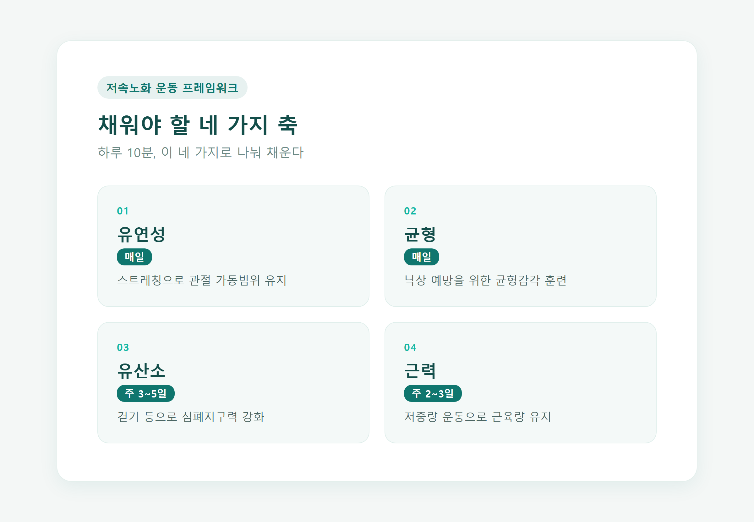 유연성·균형·유산소·근력 네 가지 축을 나타낸 인포그래픽