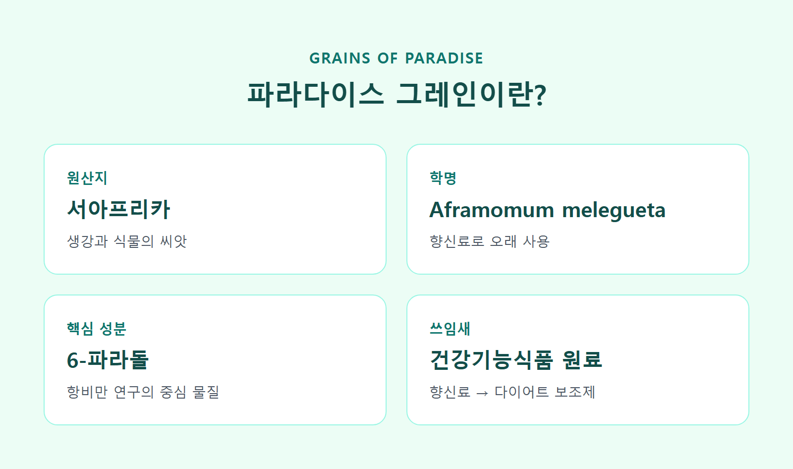 파라다이스 그레인이란?