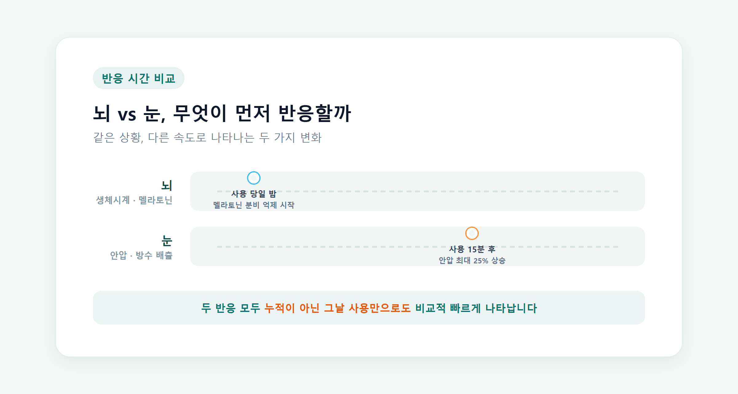 뇌의 멜라토닌 반응과 눈의 안압 반응을 시간 순서로 비교한 인포그래픽